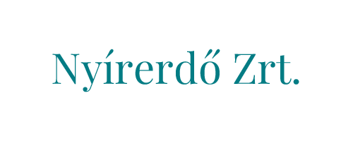 nyirerdo-zrt_partnereink_figyelo-security
