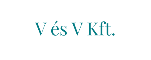 v-es-v-kft_partnereink_figyelo-security